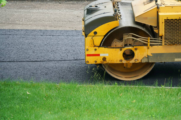 Best Brick Driveway Pavers  in Odem, TX